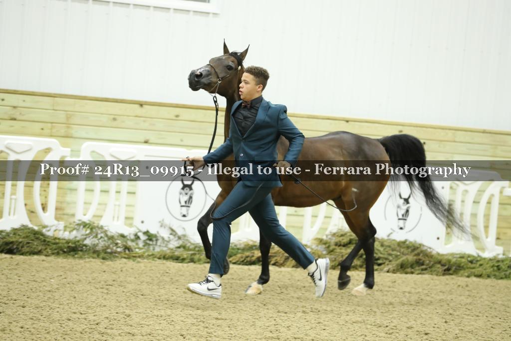 Proof 24R13_09915