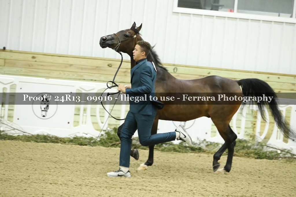 Proof 24R13_09916