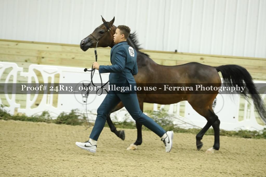 Proof 24R13_09917