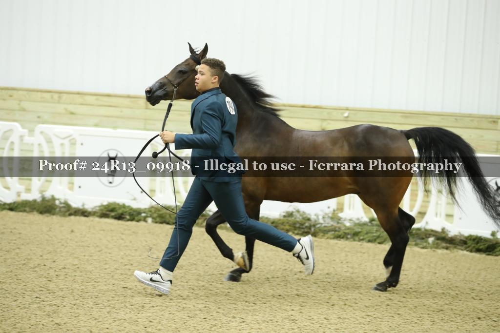 Proof 24R13_09918