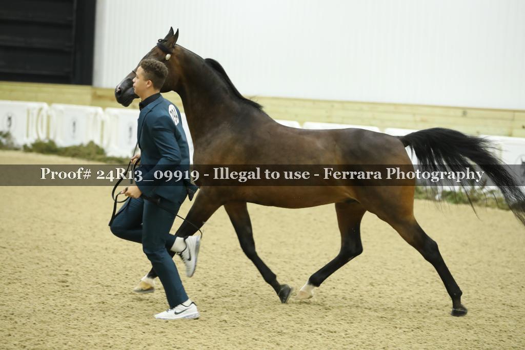 Proof 24R13_09919