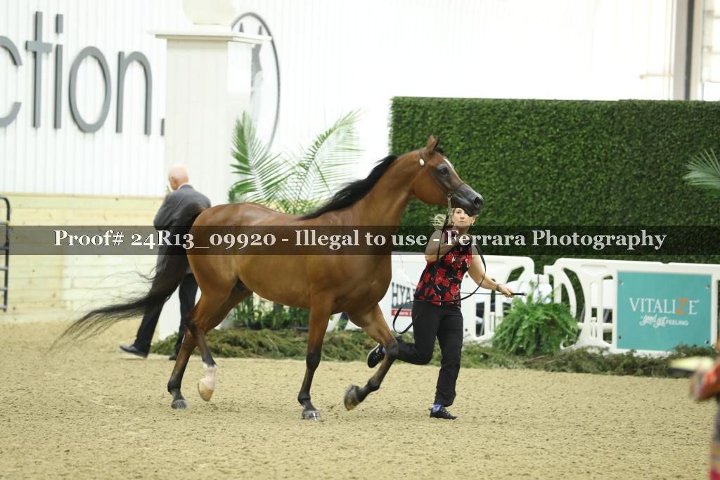 Proof 24R13_09920