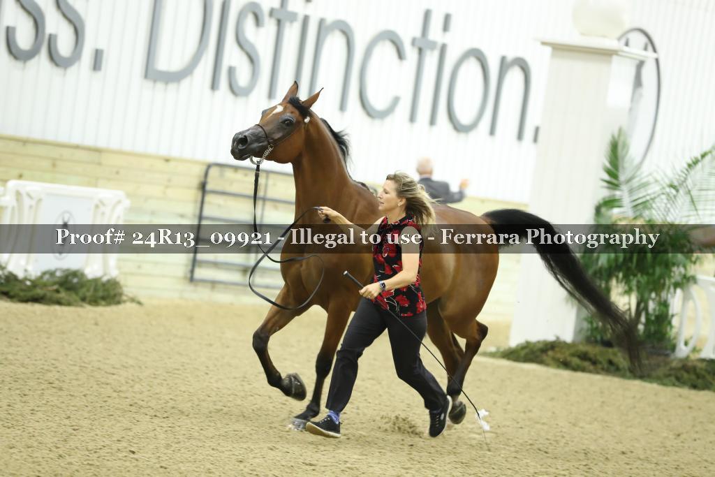 Proof 24R13_09921