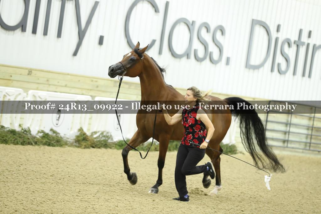 Proof 24R13_09922