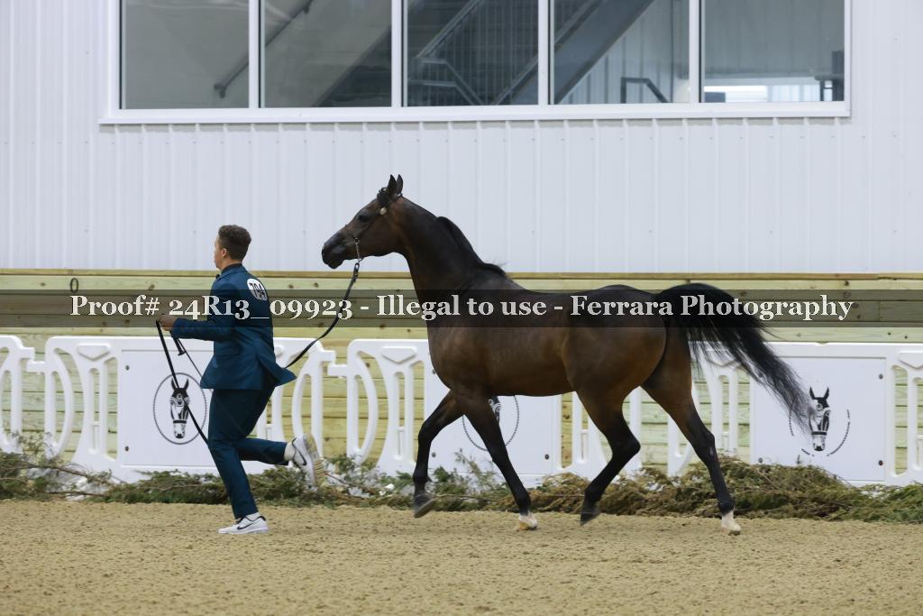 Proof 24R13_09923