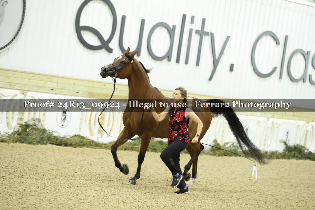 Proof 24R13_09924