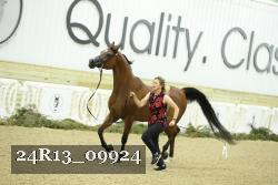 24R13_09924 proof