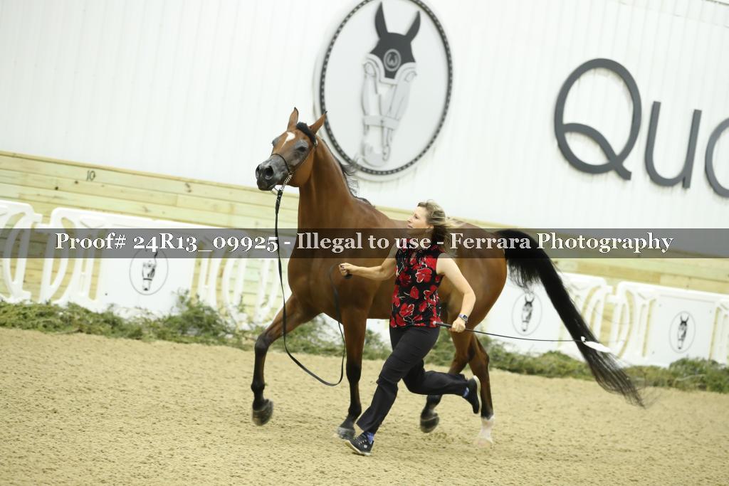 Proof 24R13_09925
