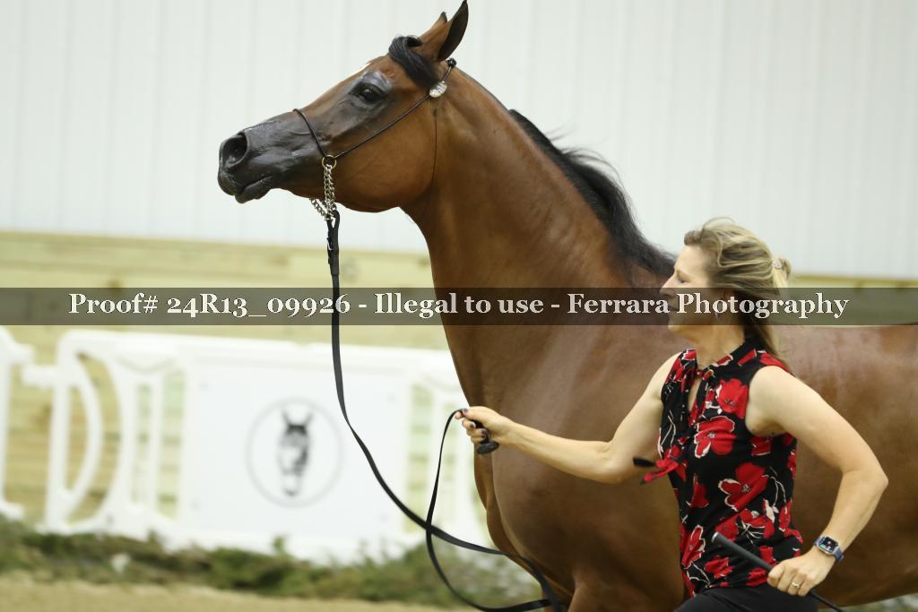 Proof 24R13_09926