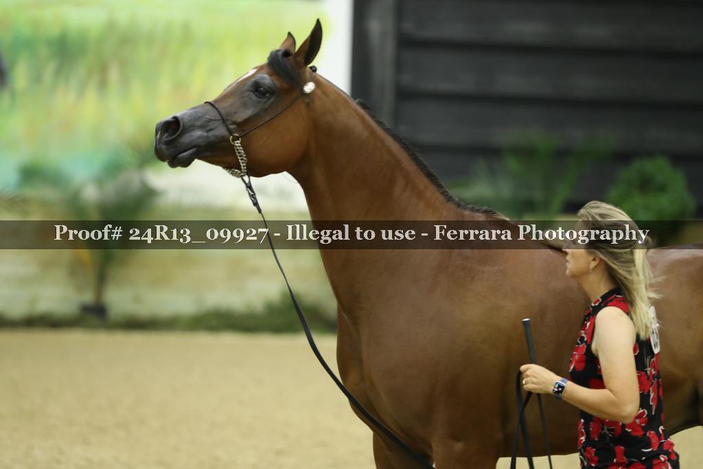 Proof 24R13_09927