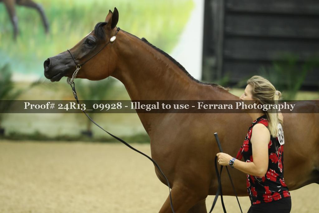 Proof 24R13_09928