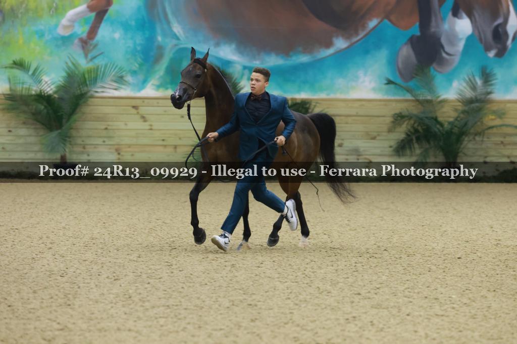 Proof 24R13_09929