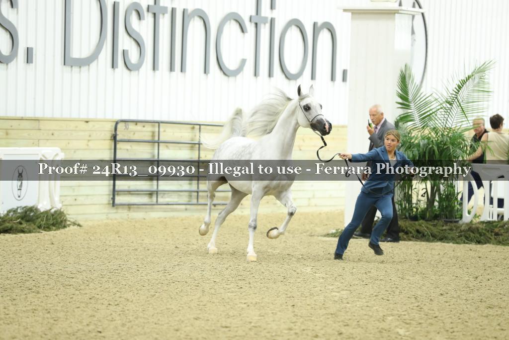 Proof 24R13_09930
