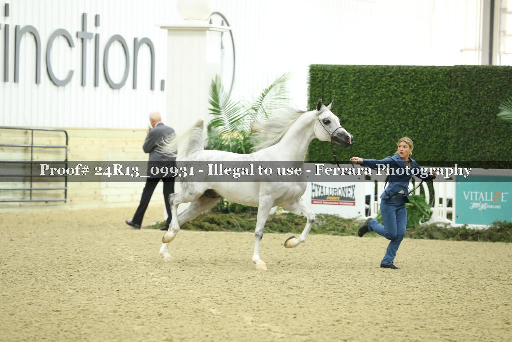 Proof 24R13_09931