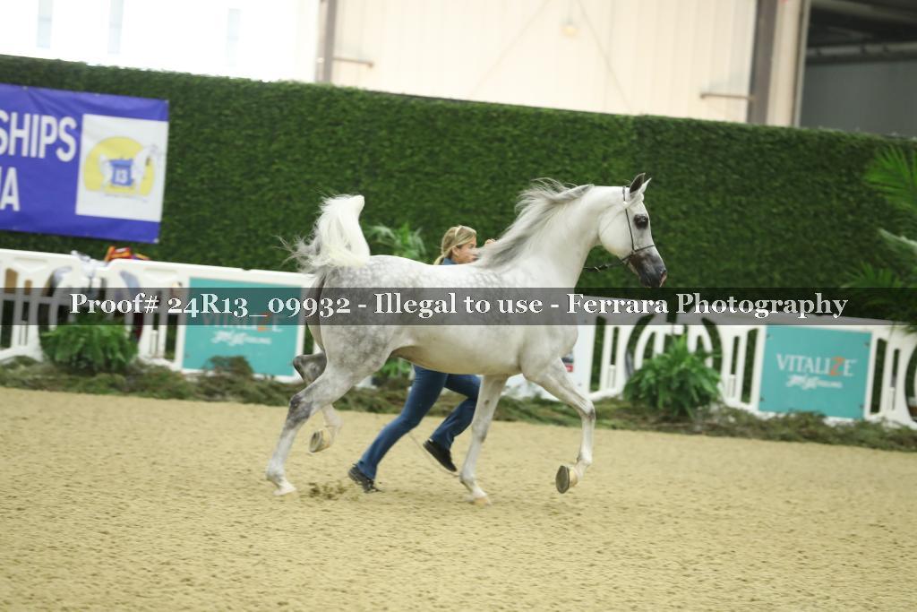 Proof 24R13_09932