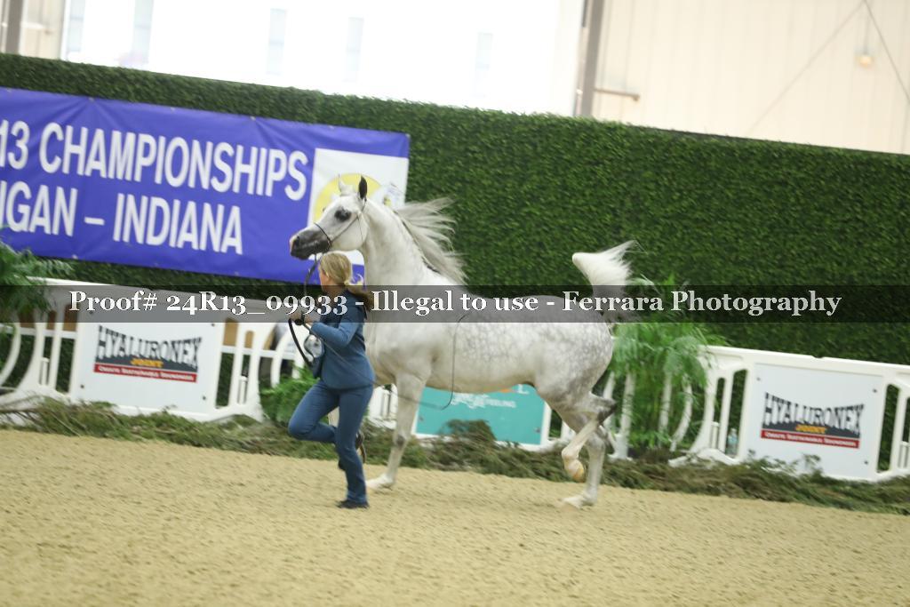 Proof 24R13_09933