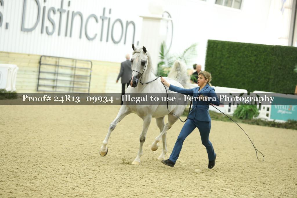 Proof 24R13_09934