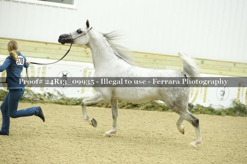 Proof 24R13_09935