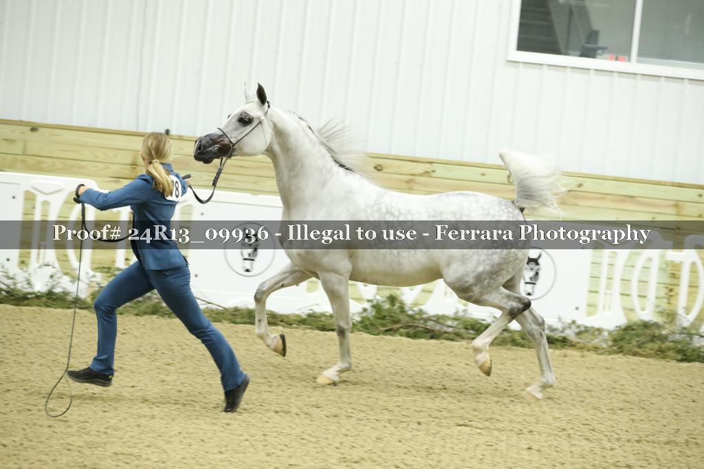 Proof 24R13_09936