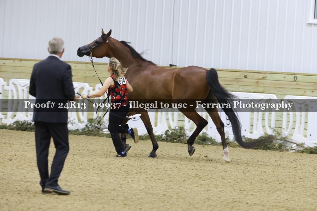 Proof 24R13_09937