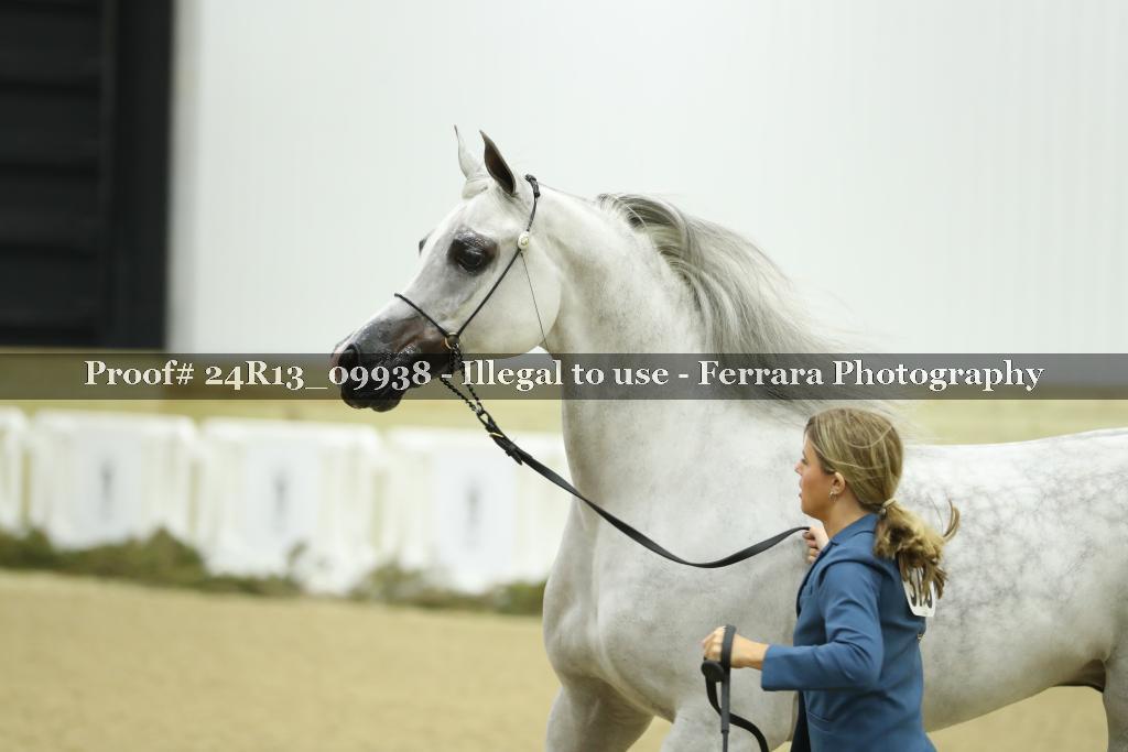 Proof 24R13_09938