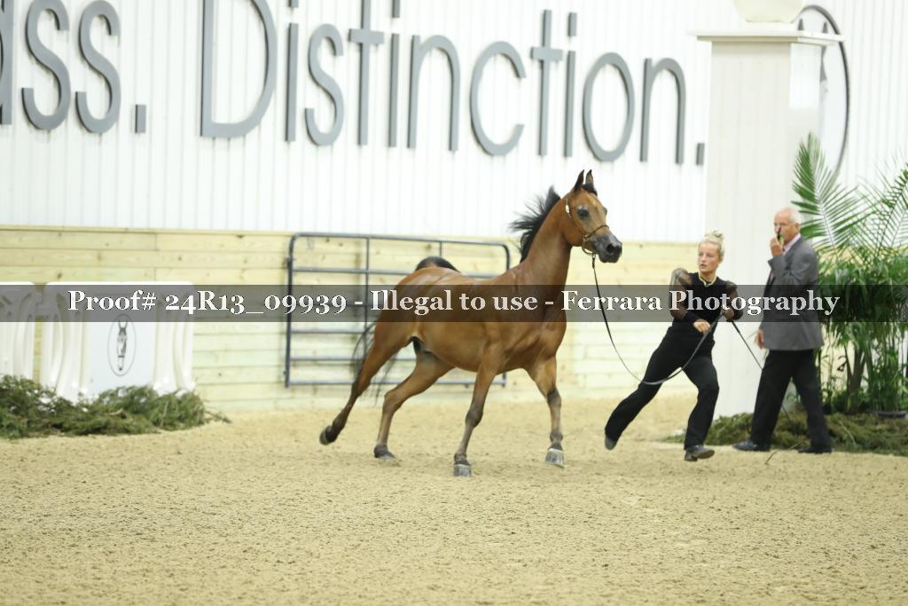 Proof 24R13_09939