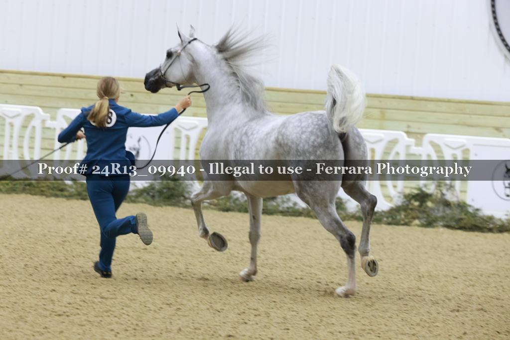Proof 24R13_09940