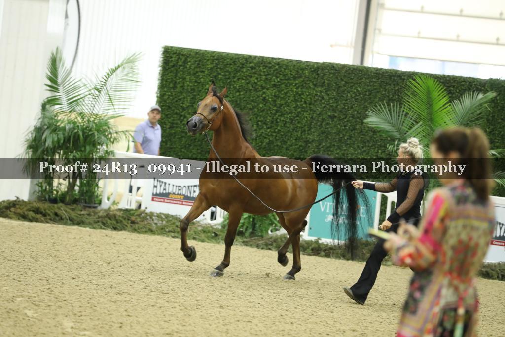 Proof 24R13_09941