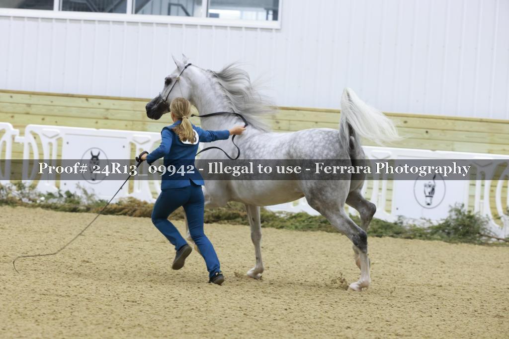 Proof 24R13_09942