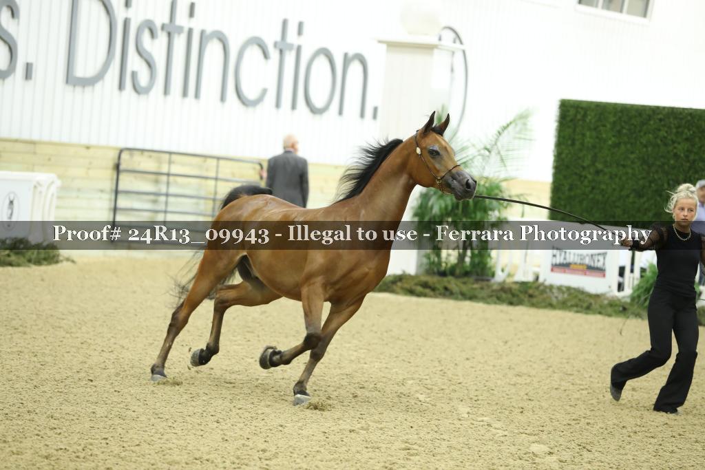 Proof 24R13_09943