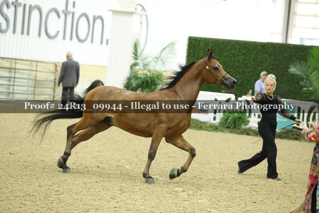 Proof 24R13_09944