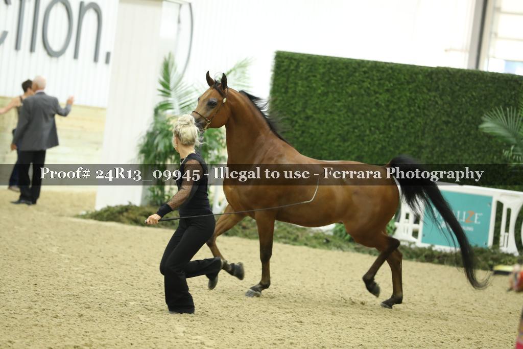 Proof 24R13_09945