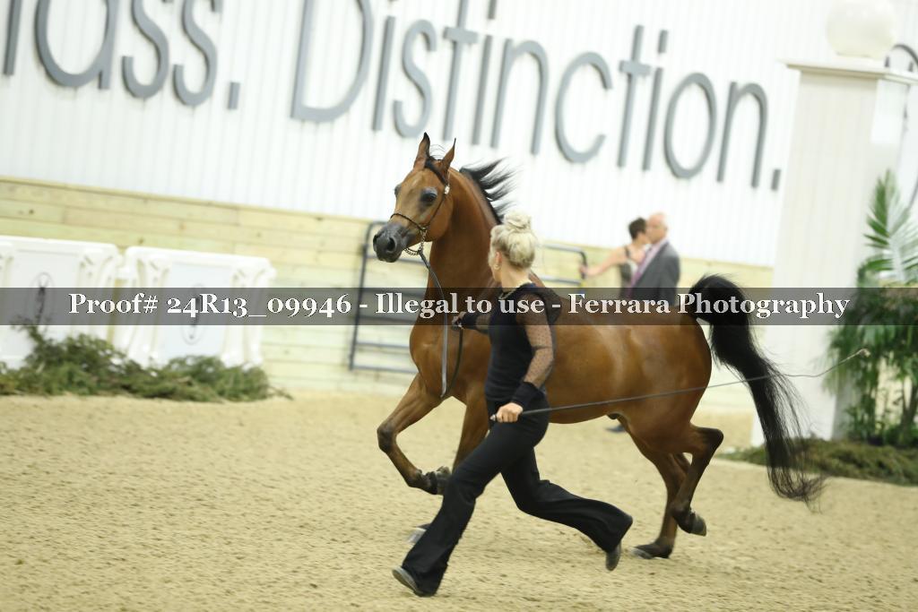 Proof 24R13_09946