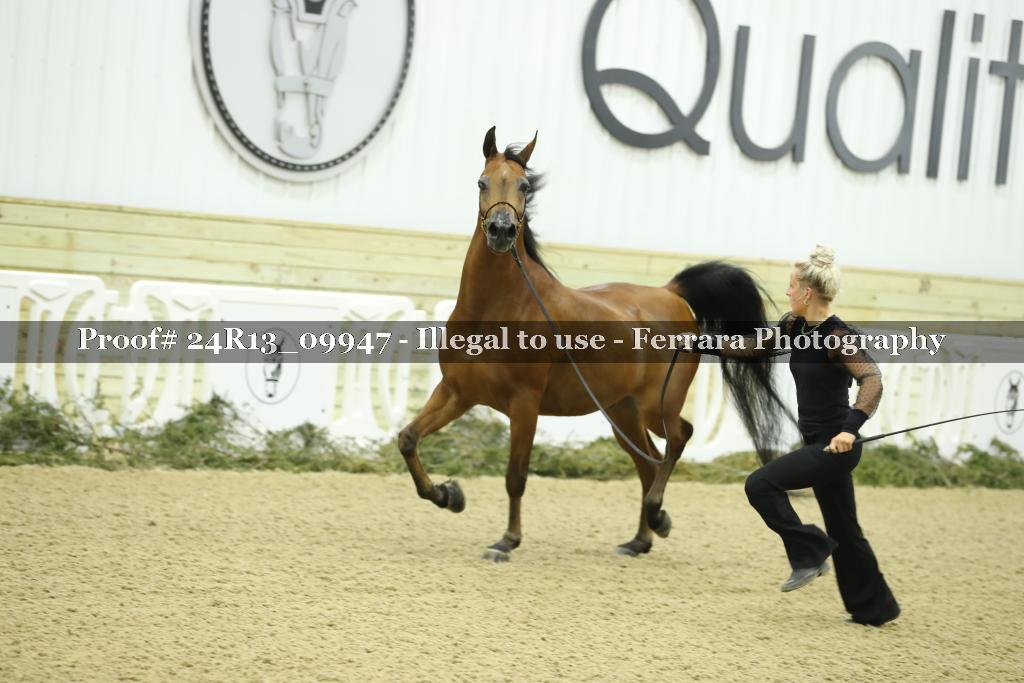 Proof 24R13_09947
