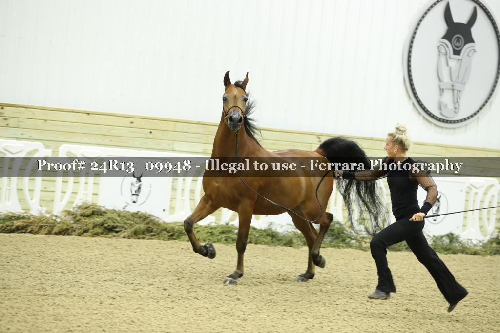 Proof 24R13_09948