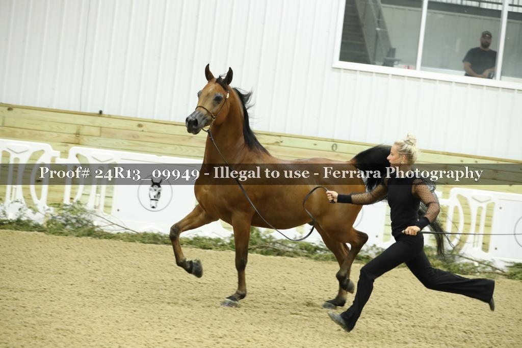 Proof 24R13_09949
