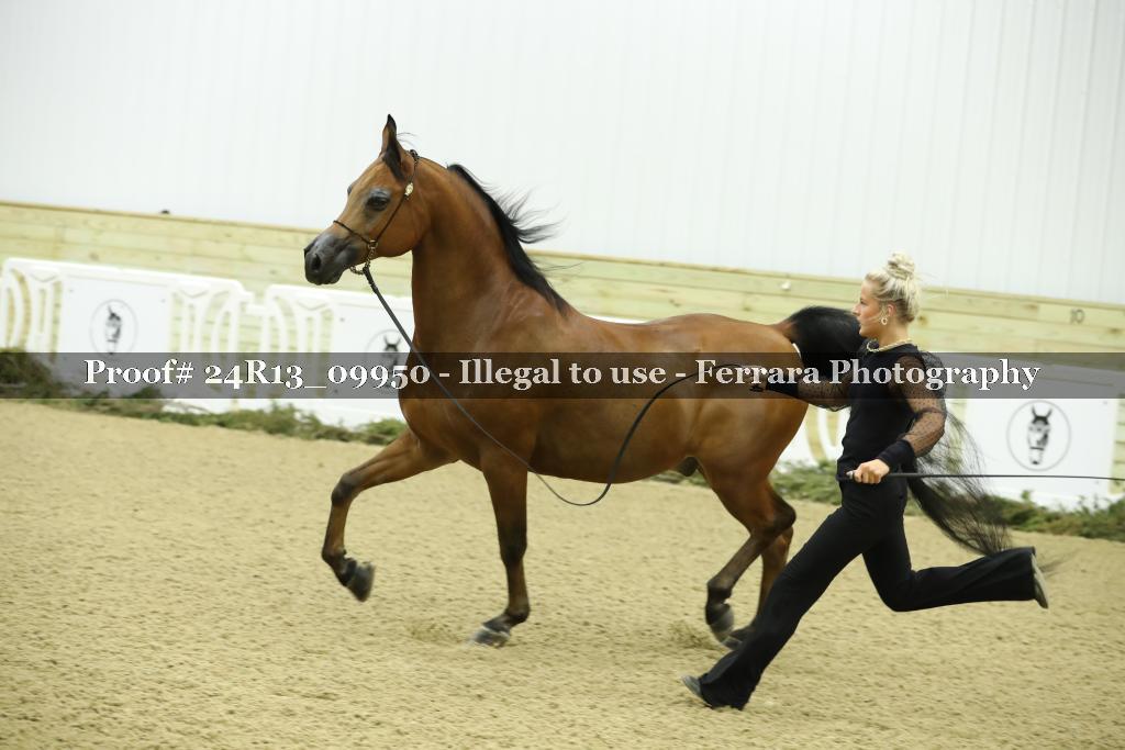 Proof 24R13_09950
