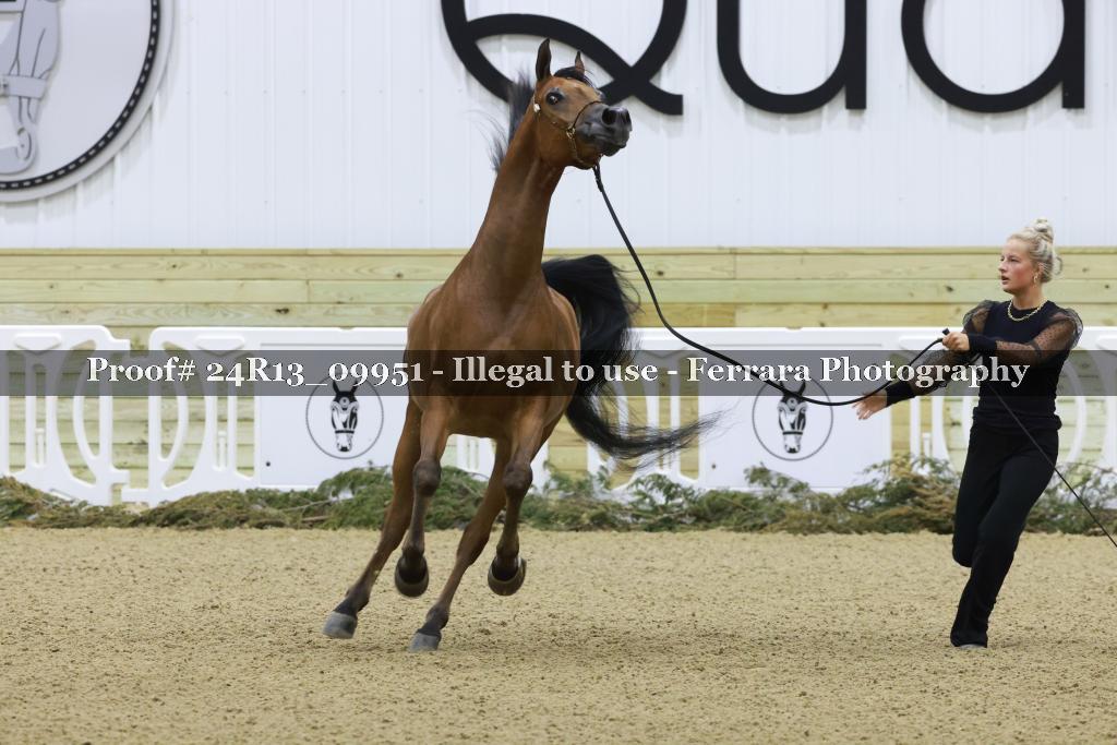 Proof 24R13_09951