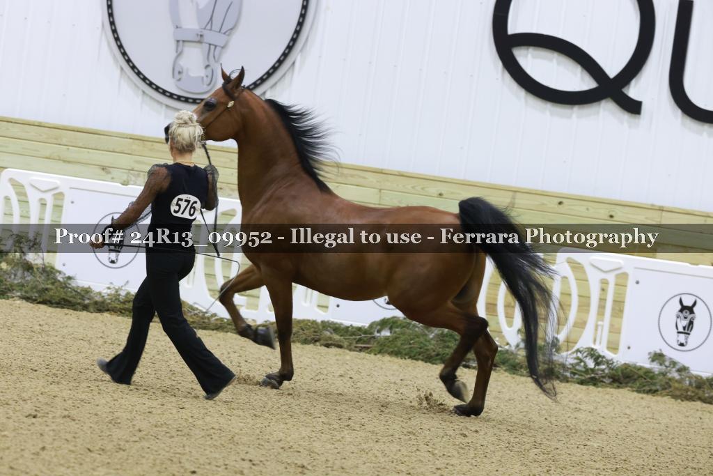 Proof 24R13_09952