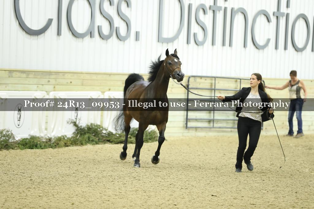 Proof 24R13_09953