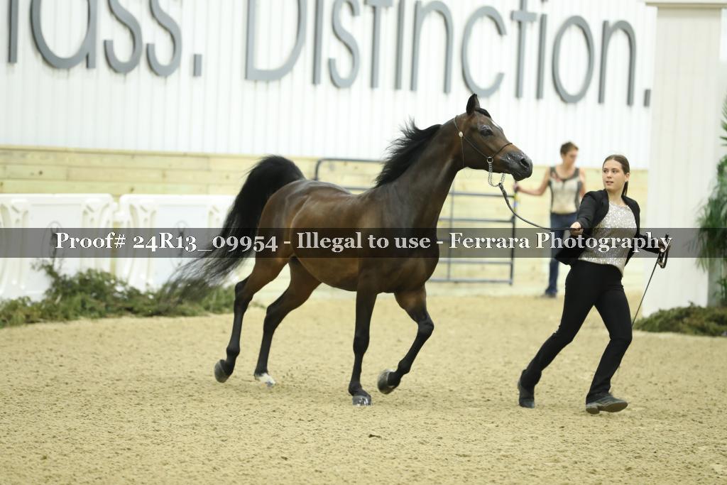 Proof 24R13_09954