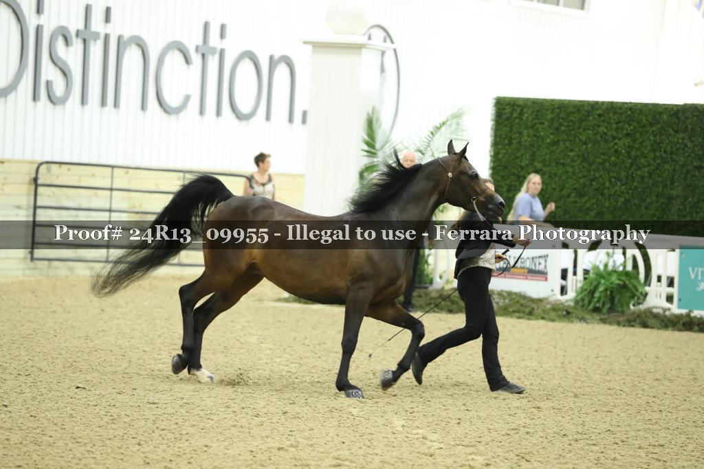 Proof 24R13_09955