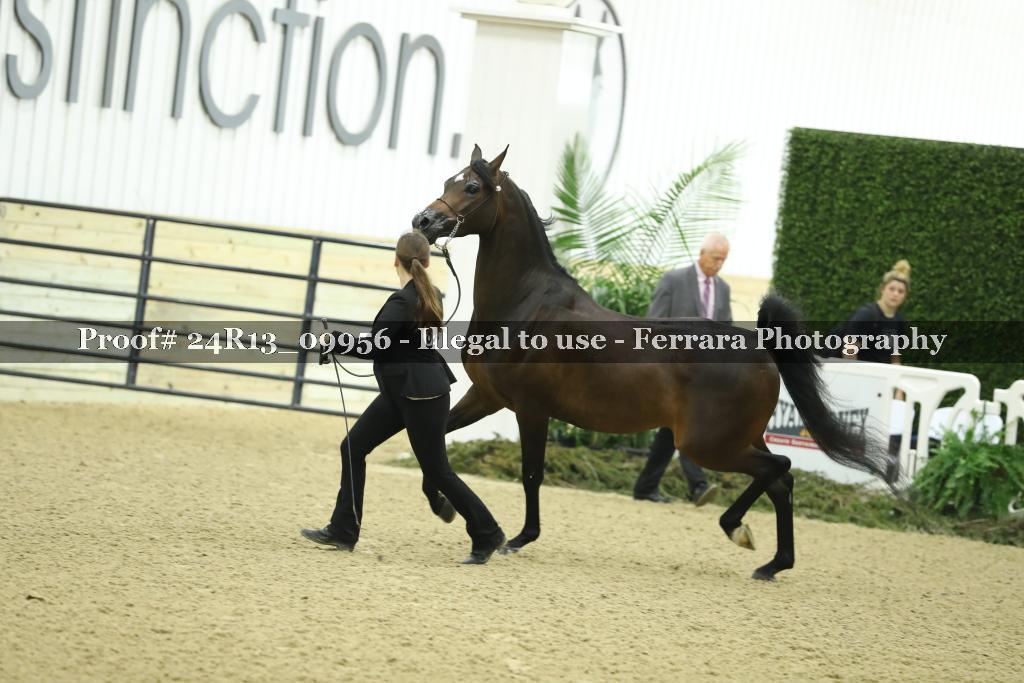 Proof 24R13_09956