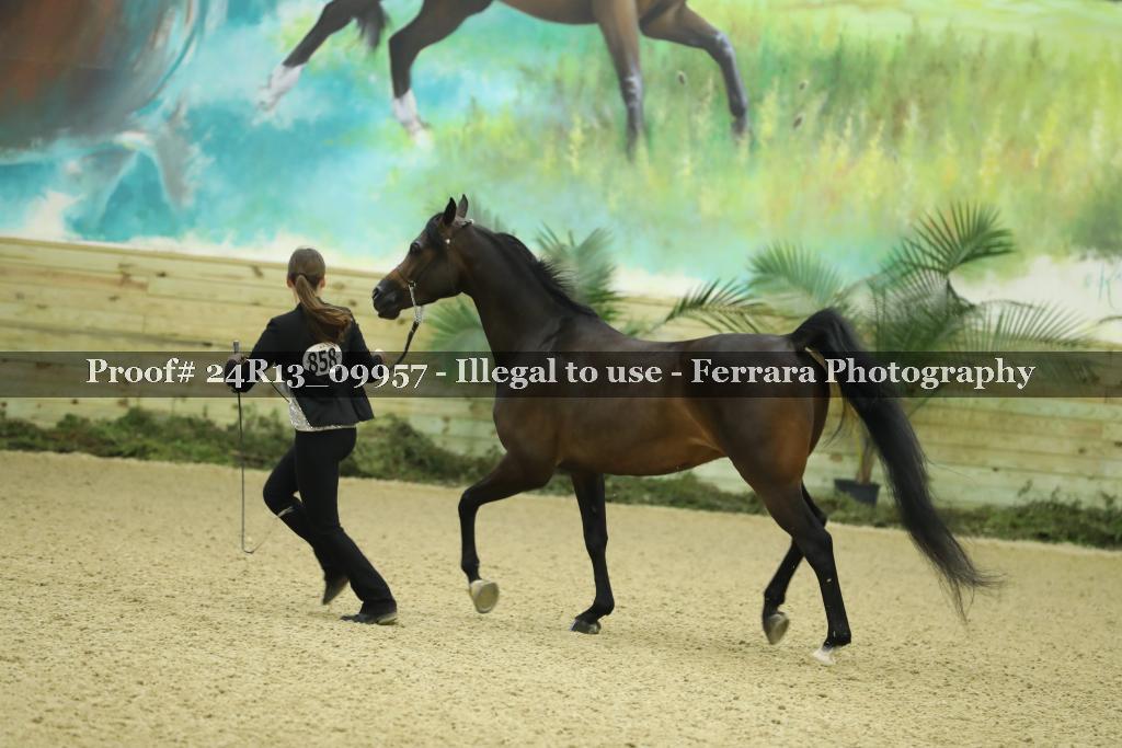 Proof 24R13_09957