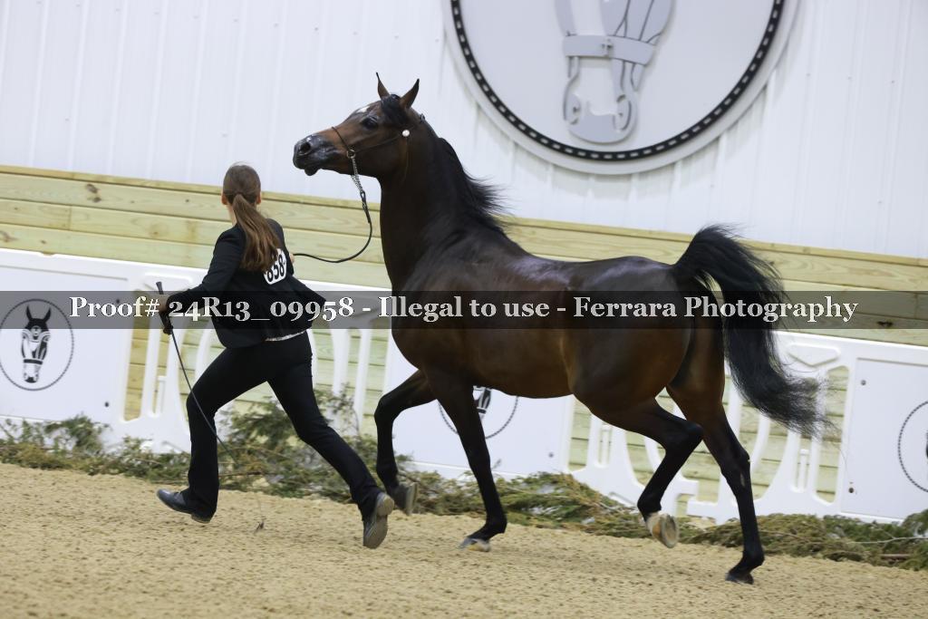Proof 24R13_09958