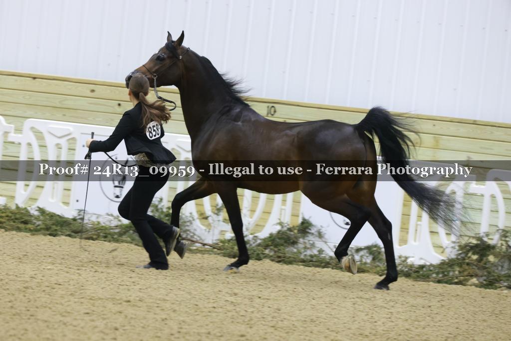 Proof 24R13_09959