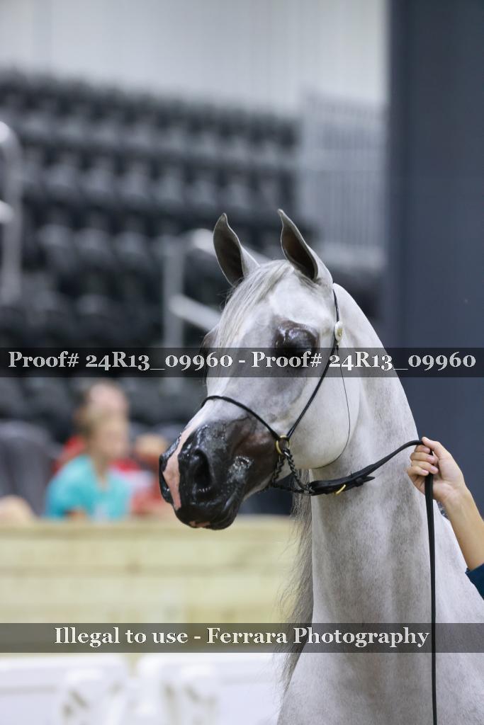 Proof 24R13_09960