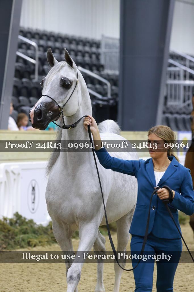 Proof 24R13_09961