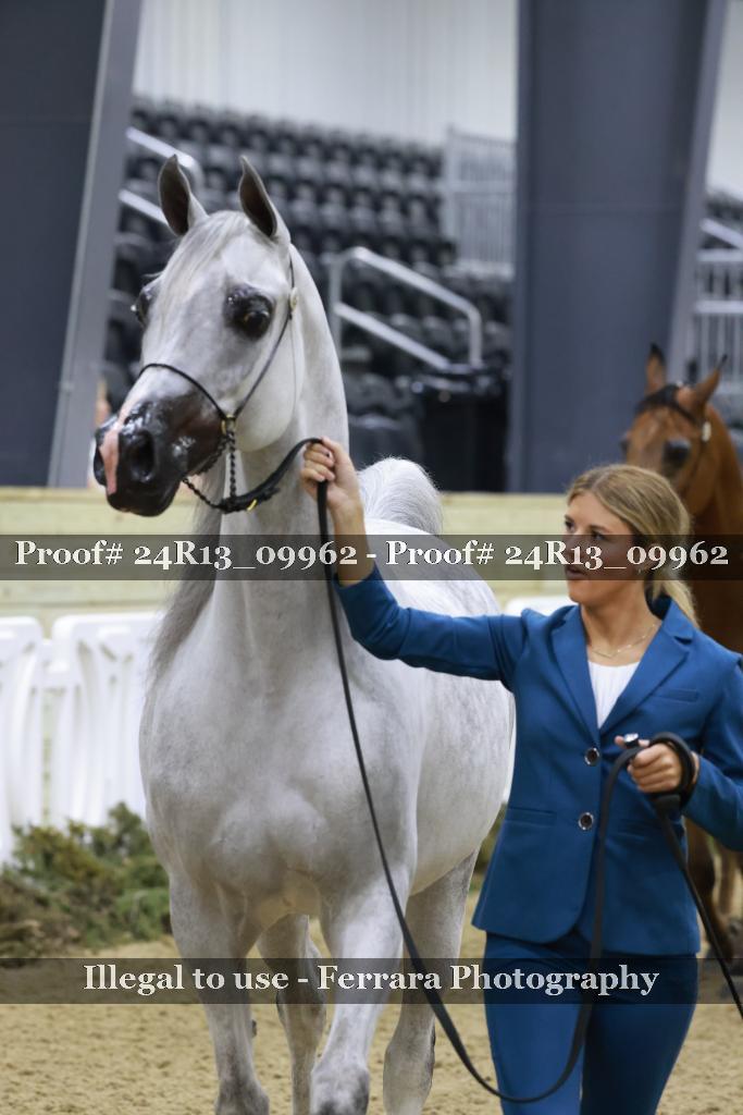 Proof 24R13_09962