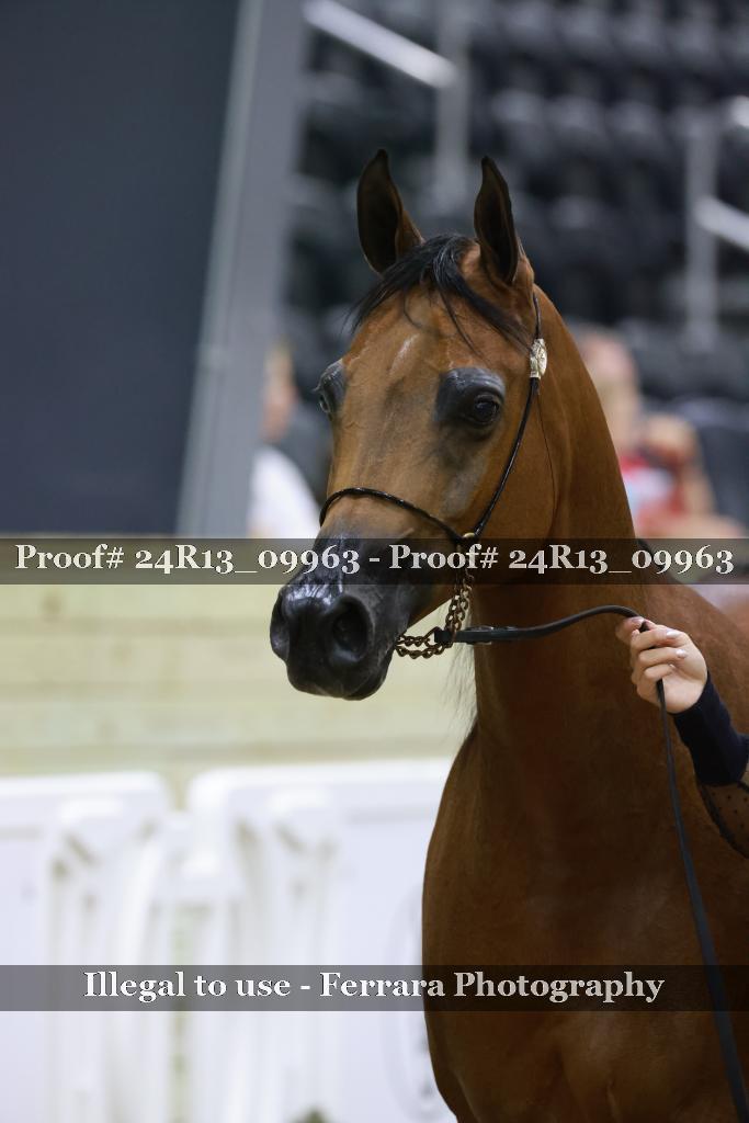 Proof 24R13_09963
